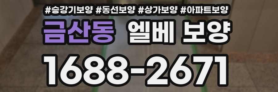 금산동 엘베 보양