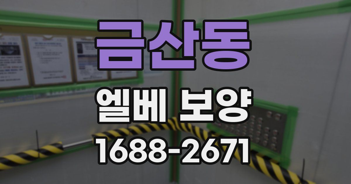 금산동 엘베 보양