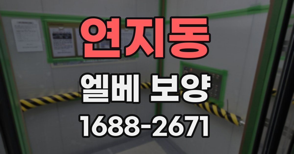 연지동 엘베 보양