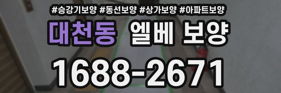 대천동 엘베 보양