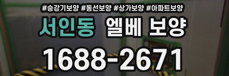 서인동 엘베 보양