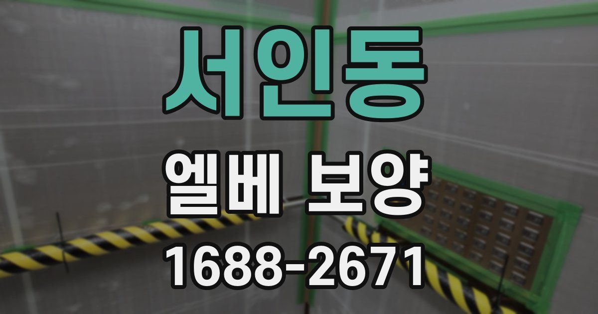 서인동 엘베 보양