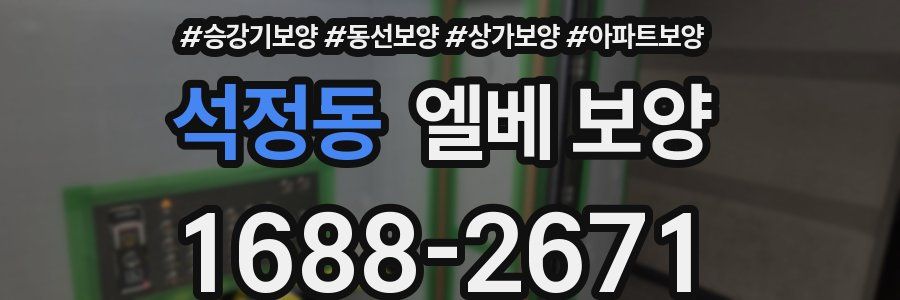 석정동 엘베 보양