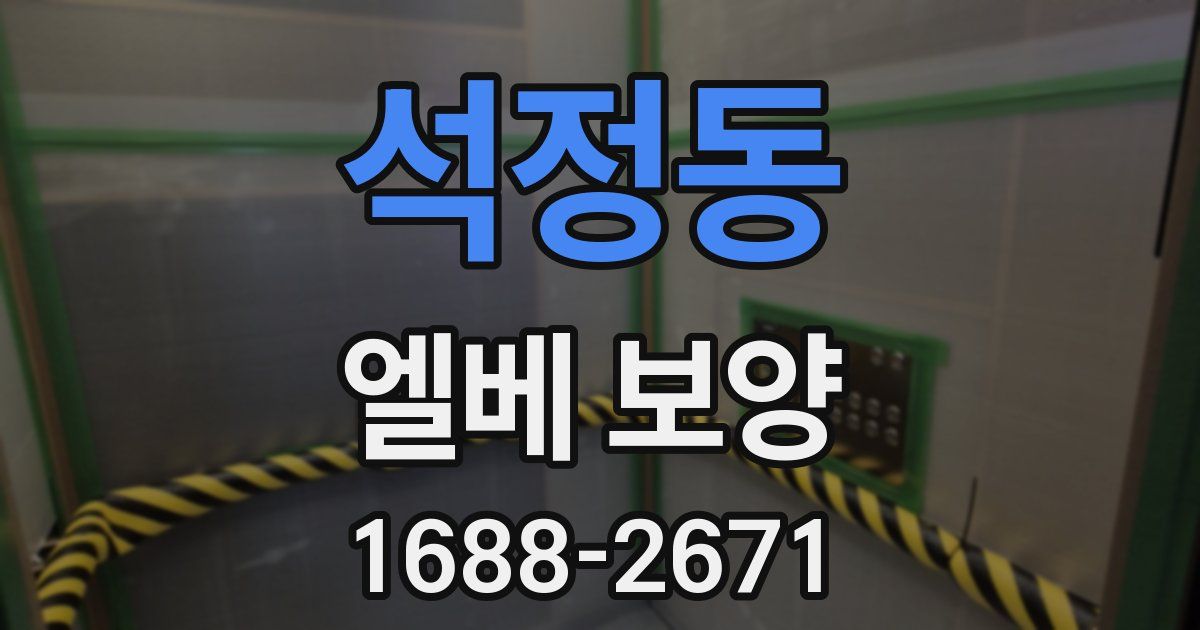 석정동 엘베 보양