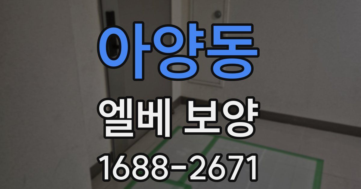 아양동 엘베 보양