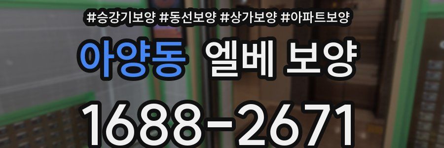 아양동 엘베 보양