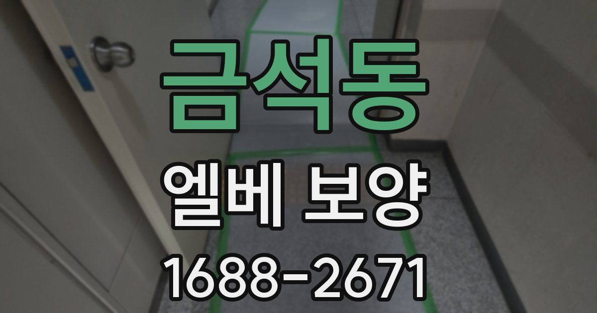 금석동 엘베 보양