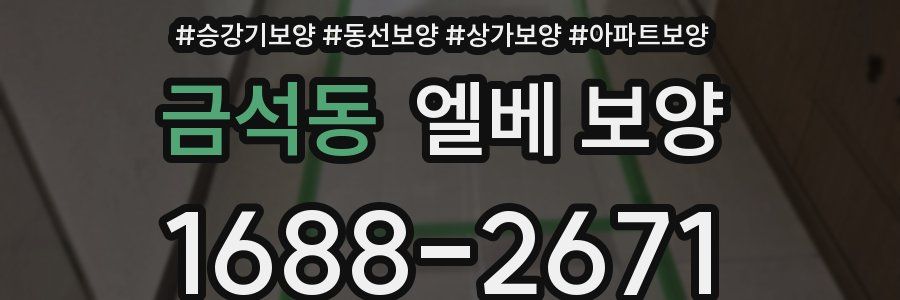 금석동 엘베 보양
