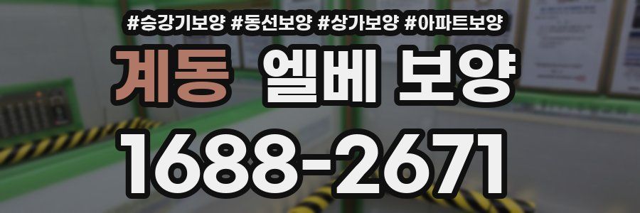 계동 엘베 보양