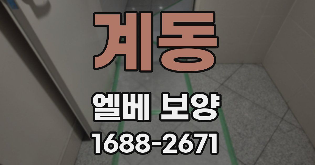 계동 엘베 보양