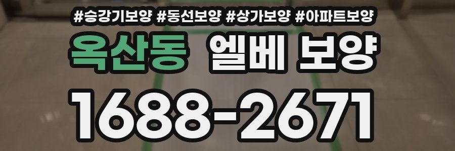 옥산동 엘베 보양