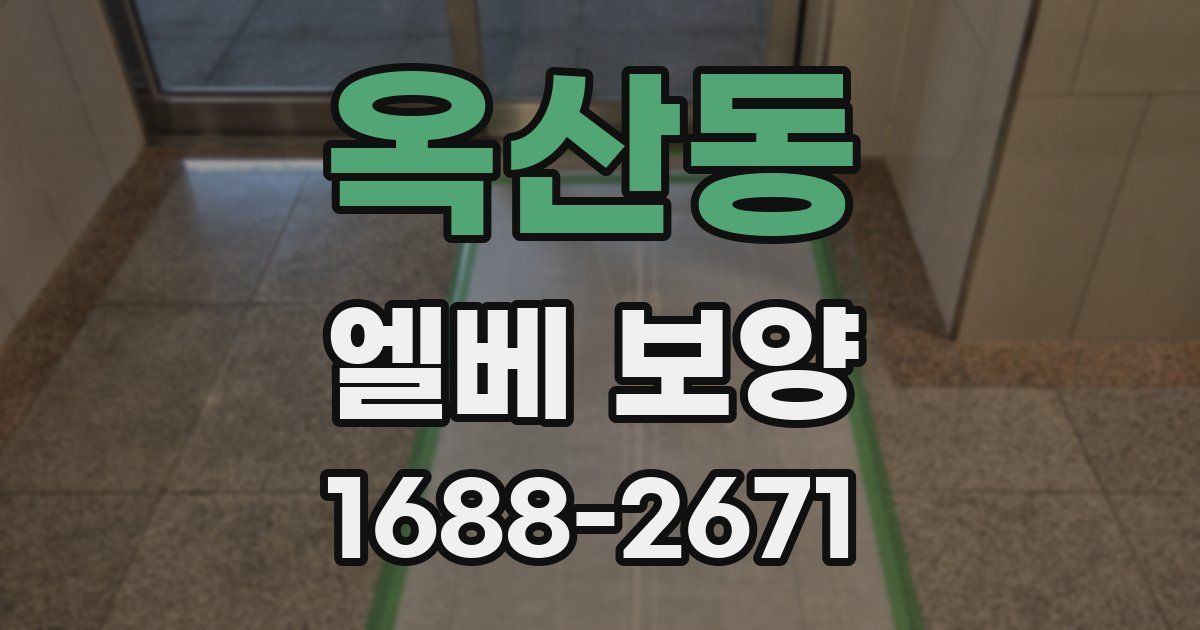 옥산동 엘베 보양