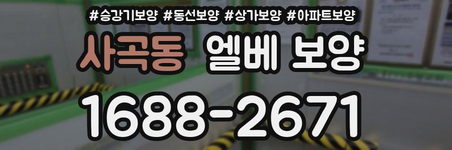 사곡동 엘베 보양