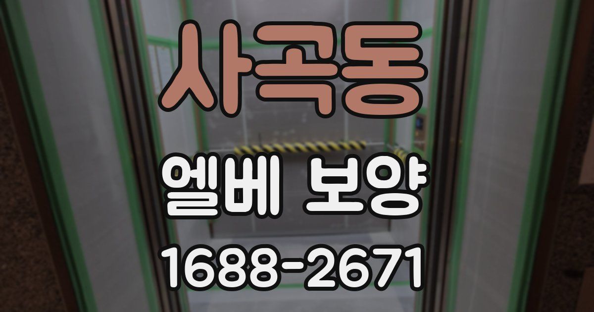 사곡동 엘베 보양