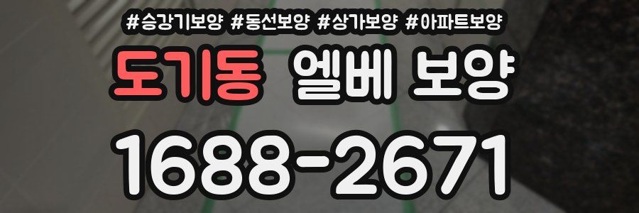 도기동 엘베 보양
