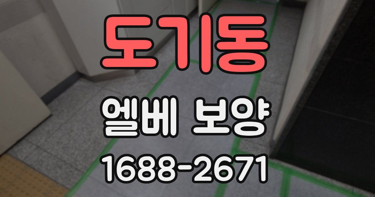 도기동 엘베 보양