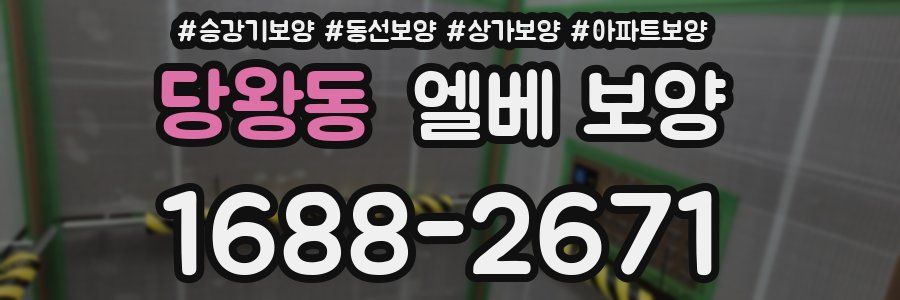 당왕동 엘베 보양