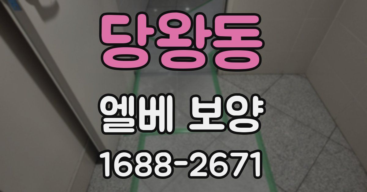당왕동 엘베 보양