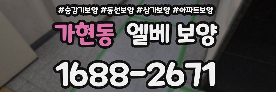 가현동 엘베 보양