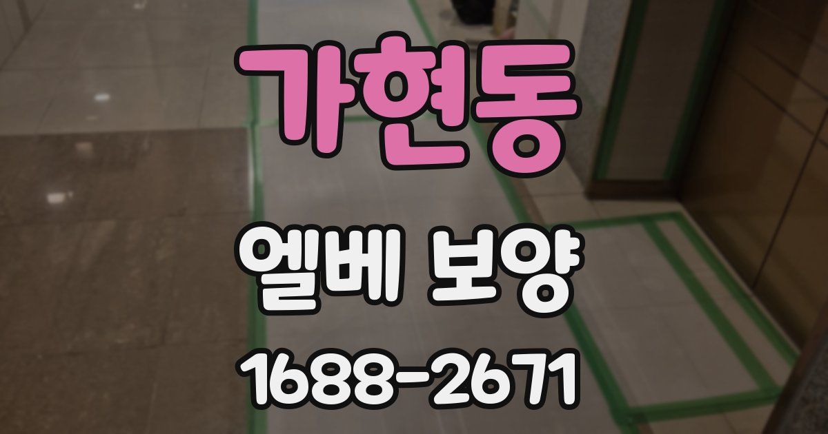 가현동 엘베 보양