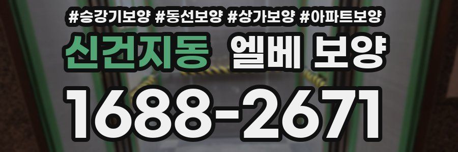 신건지동 엘베 보양