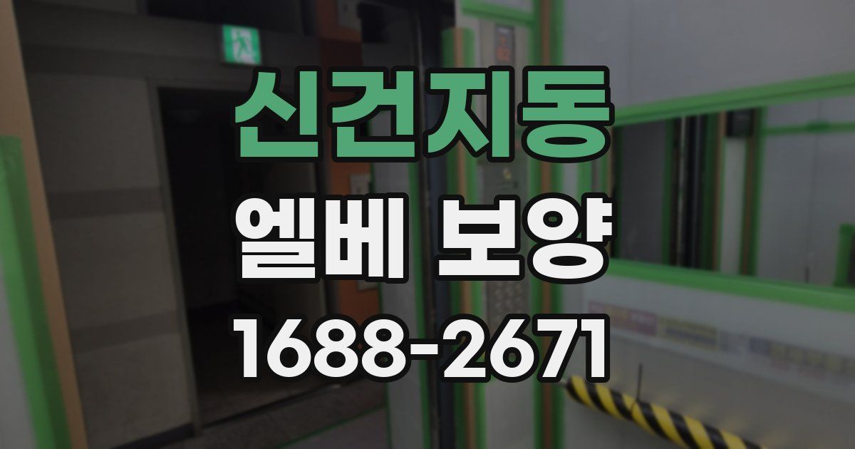 신건지동 엘베 보양