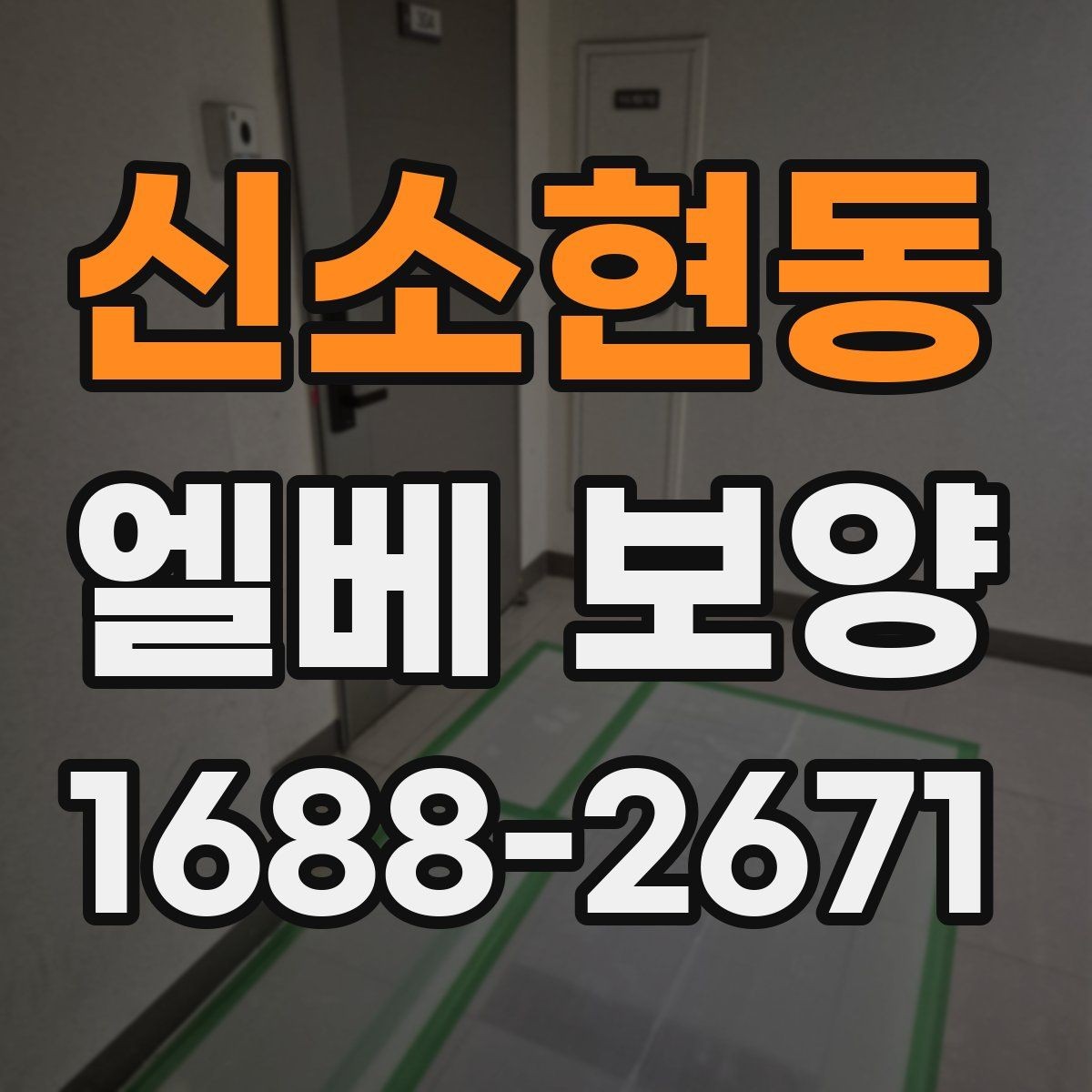 신소현동 엘베 보양 대형 이사 현장에 맞는 보호 범위 설정