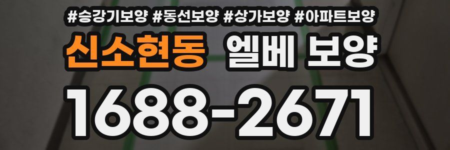신소현동 엘베 보양