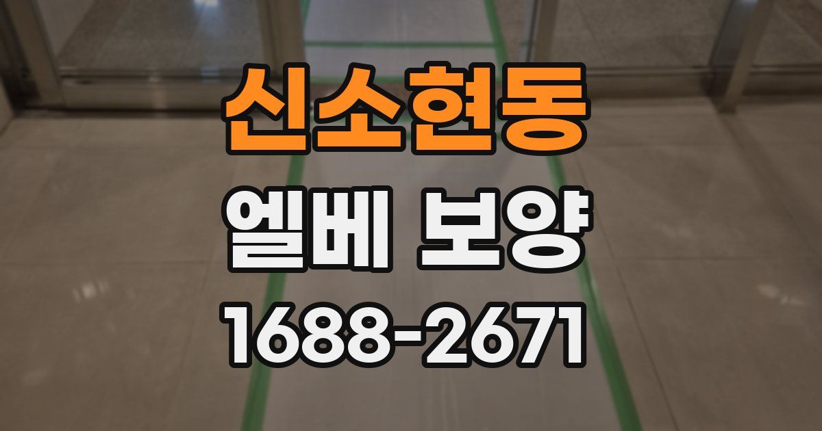 신소현동 엘베 보양