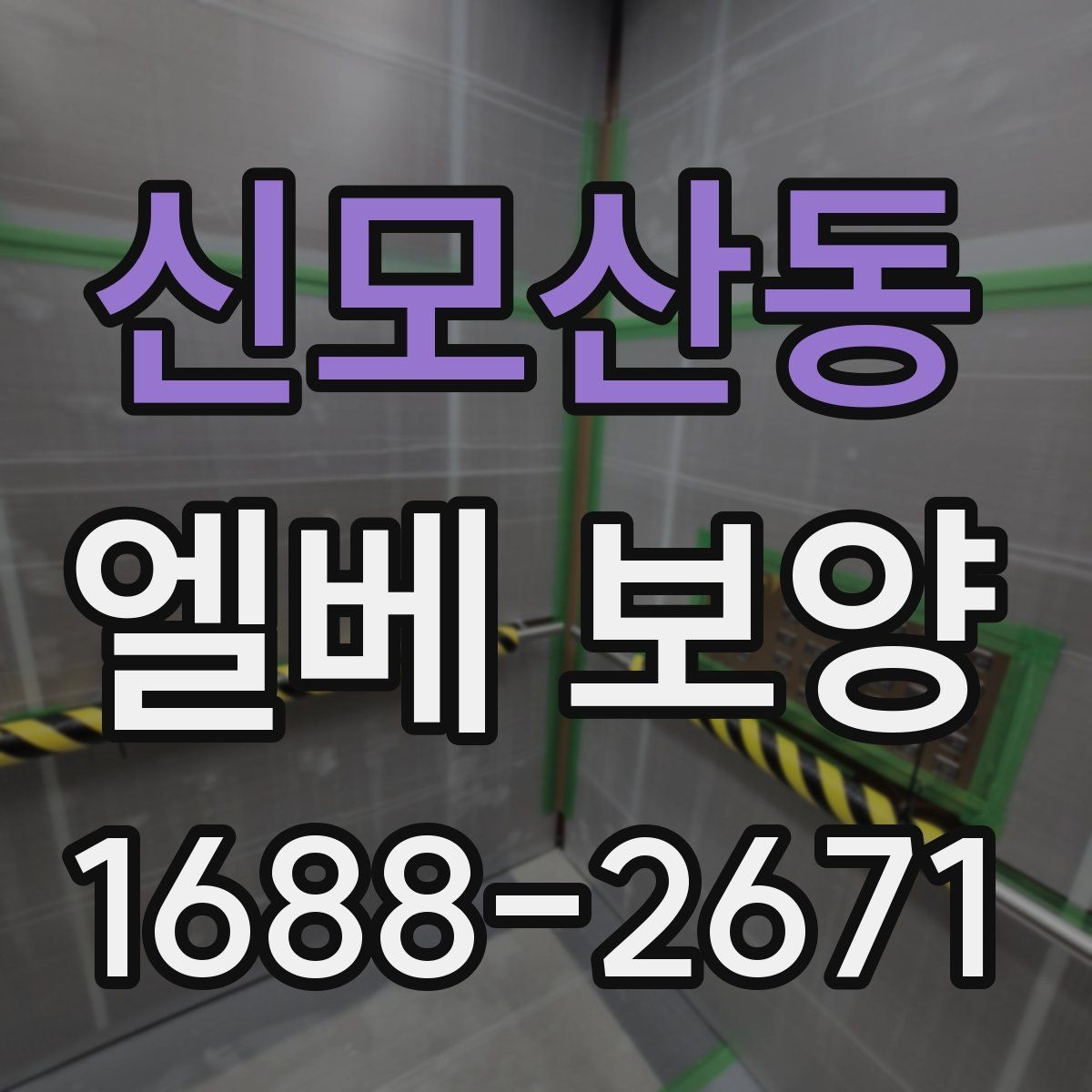 신모산동 엘베 보양 보양 사진 기록이 필요한 현장 운영 포인트