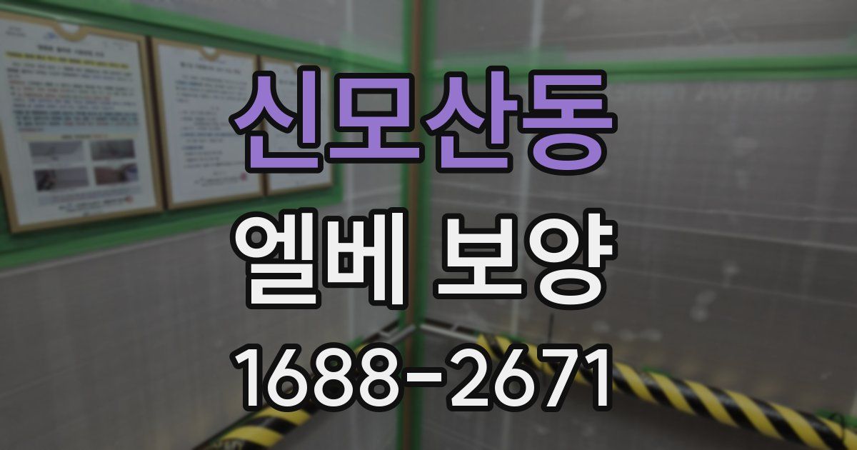 신모산동 엘베 보양