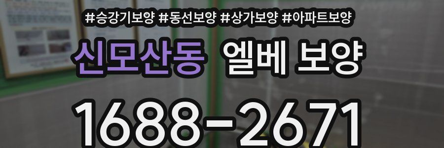 신모산동 엘베 보양