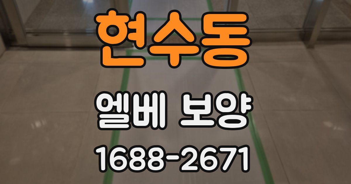 현수동 엘베 보양