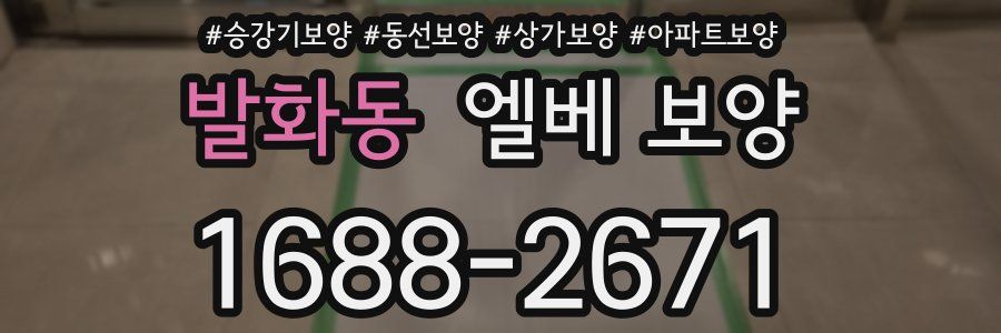 발화동 엘베 보양