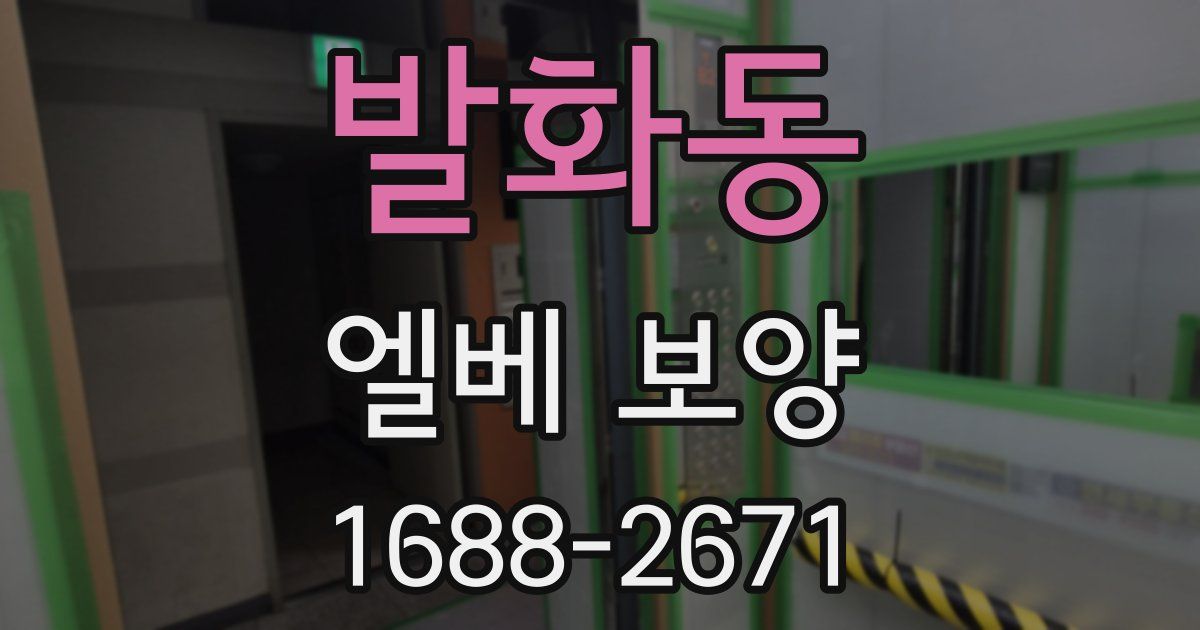 발화동 엘베 보양