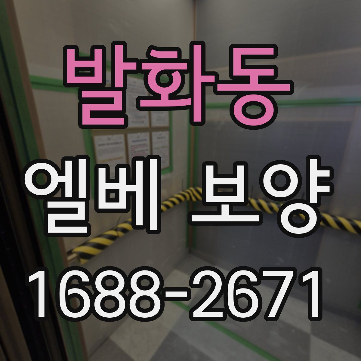 발화동 엘베 보양