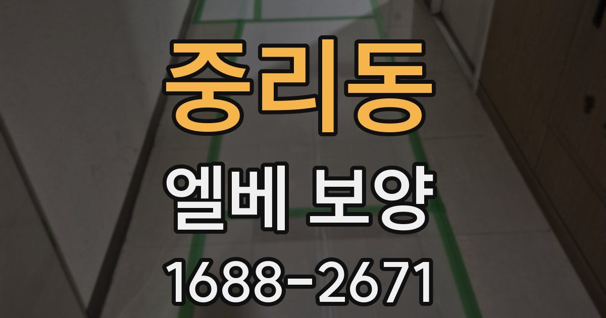 중리동 엘베 보양