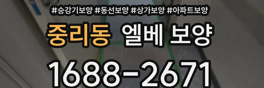 중리동 엘베 보양