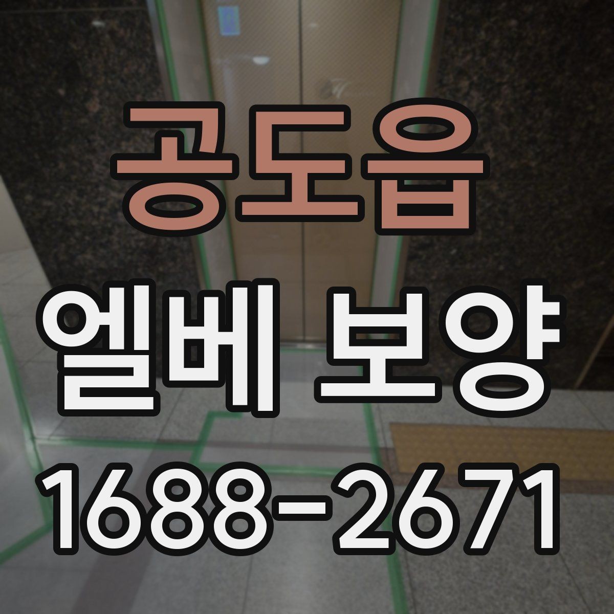 공도읍 엘베 보양 훼손 흔적 점검과 정리 방법