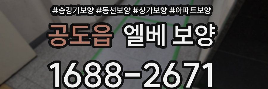 공도읍 엘베 보양