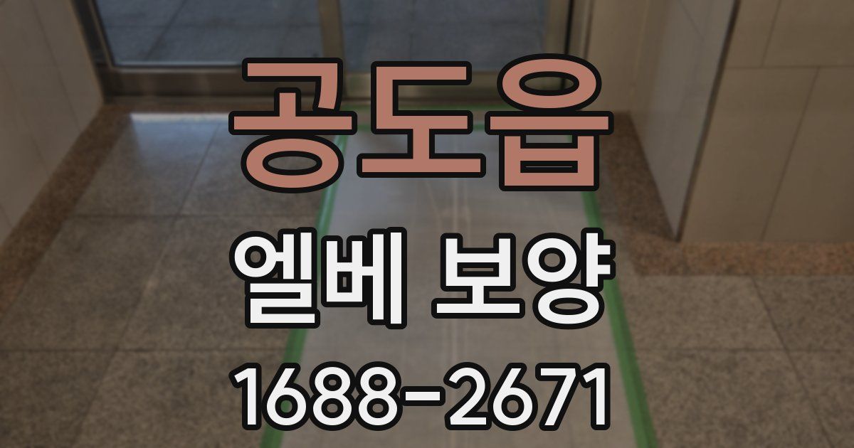 공도읍 엘베 보양