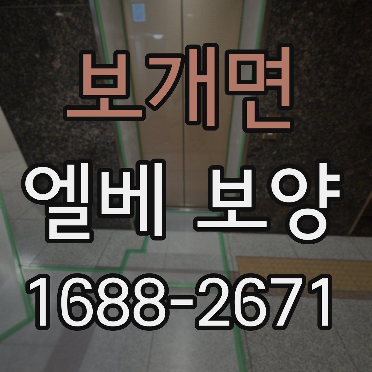 보개면 엘베 보양