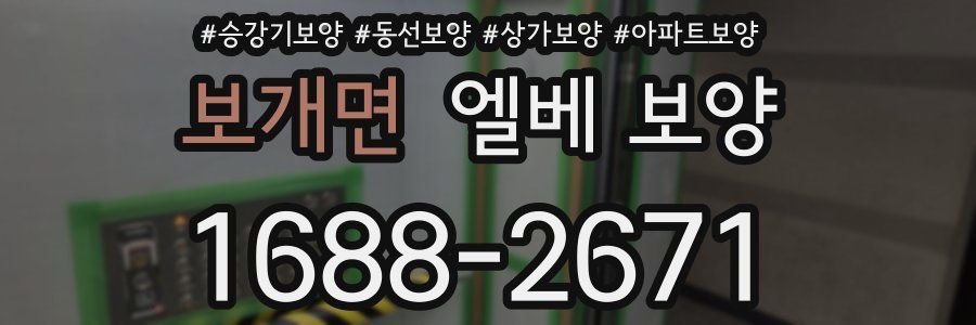 보개면 엘베 보양