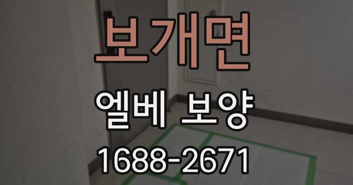 보개면 엘베 보양
