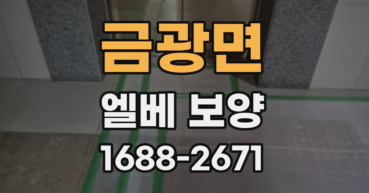 금광면 엘베 보양