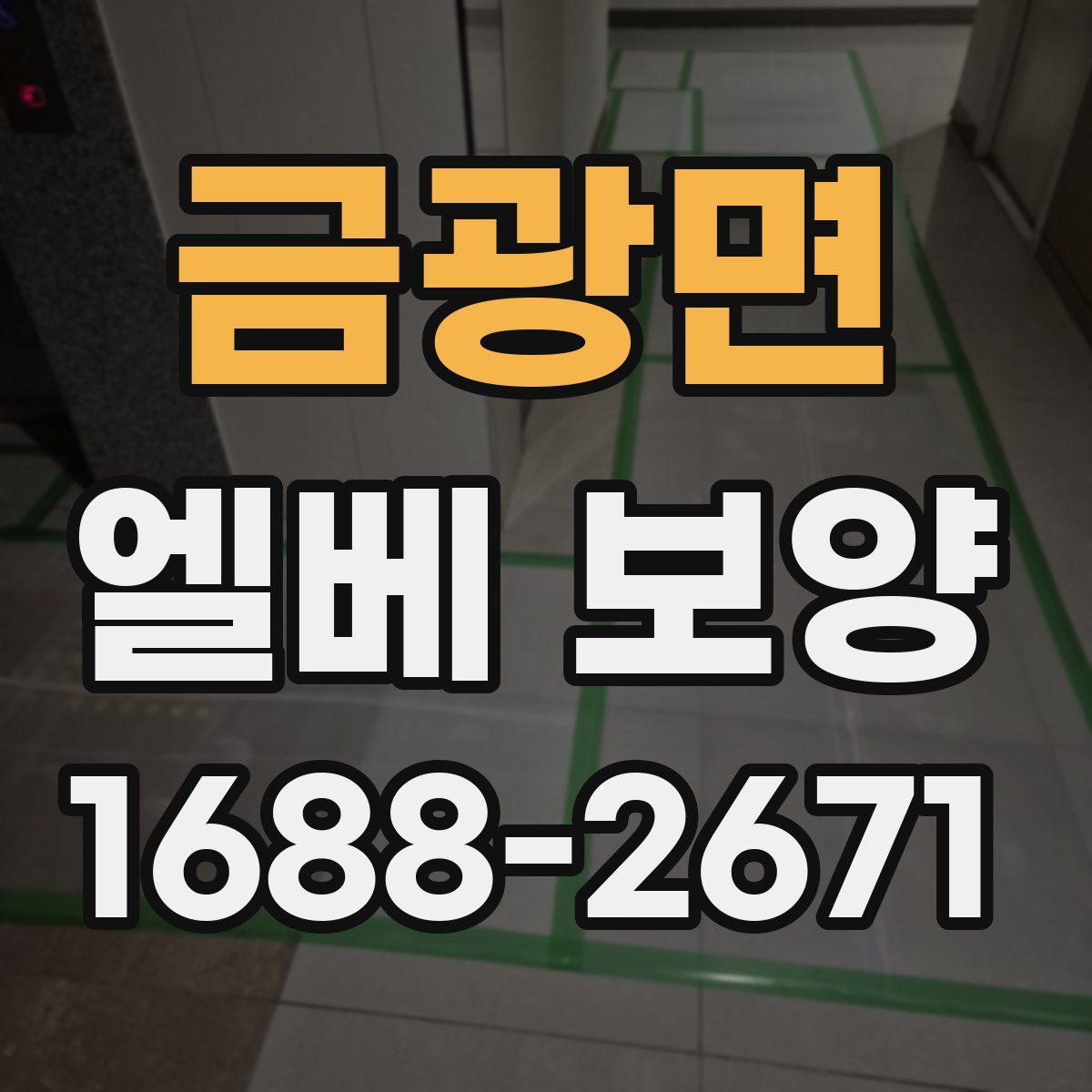 금광면 엘베 보양