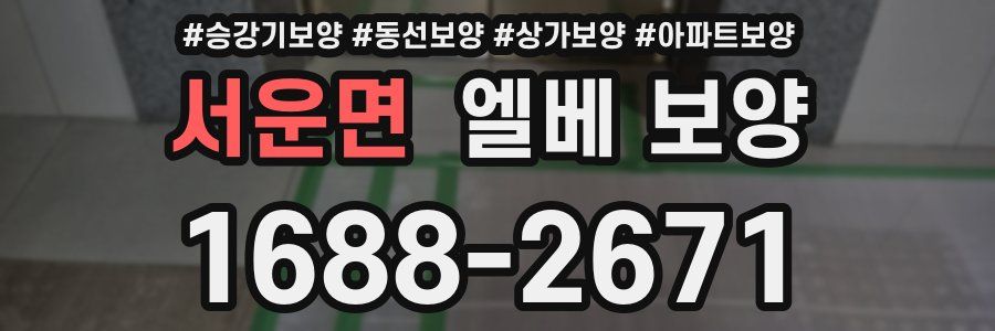 서운면 엘베 보양