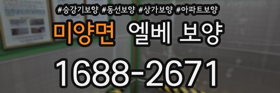 미양면 엘베 보양