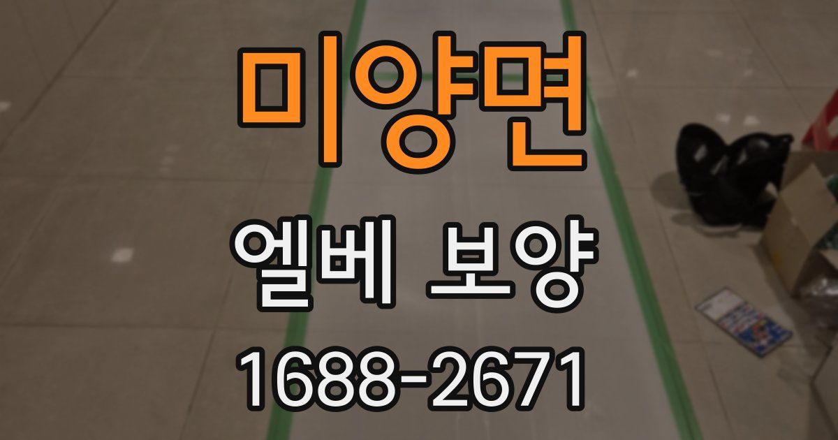 미양면 엘베 보양