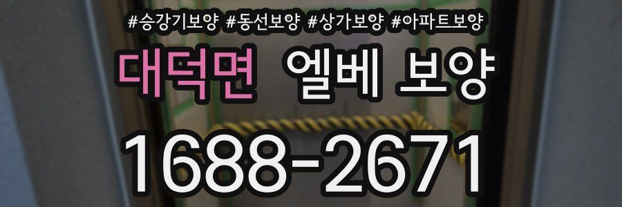 대덕면 엘베 보양